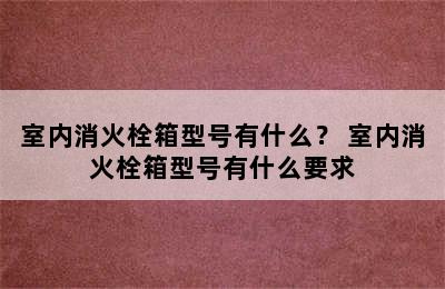 室内消火栓箱型号有什么？ 室内消火栓箱型号有什么要求